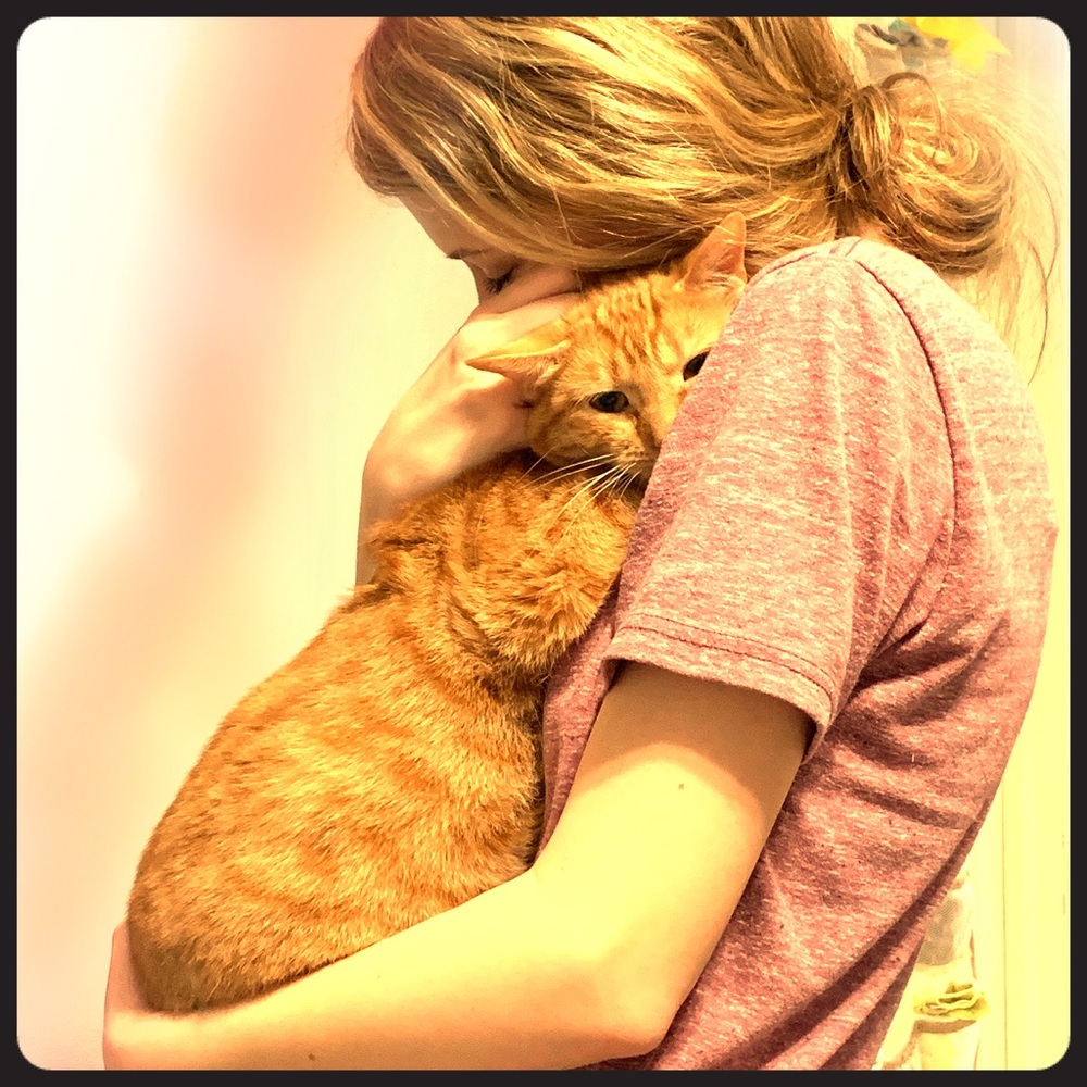 Meet your Posher, Belle